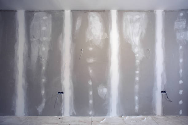 Best Drywall Removal and Disposal  in Laurens, IA